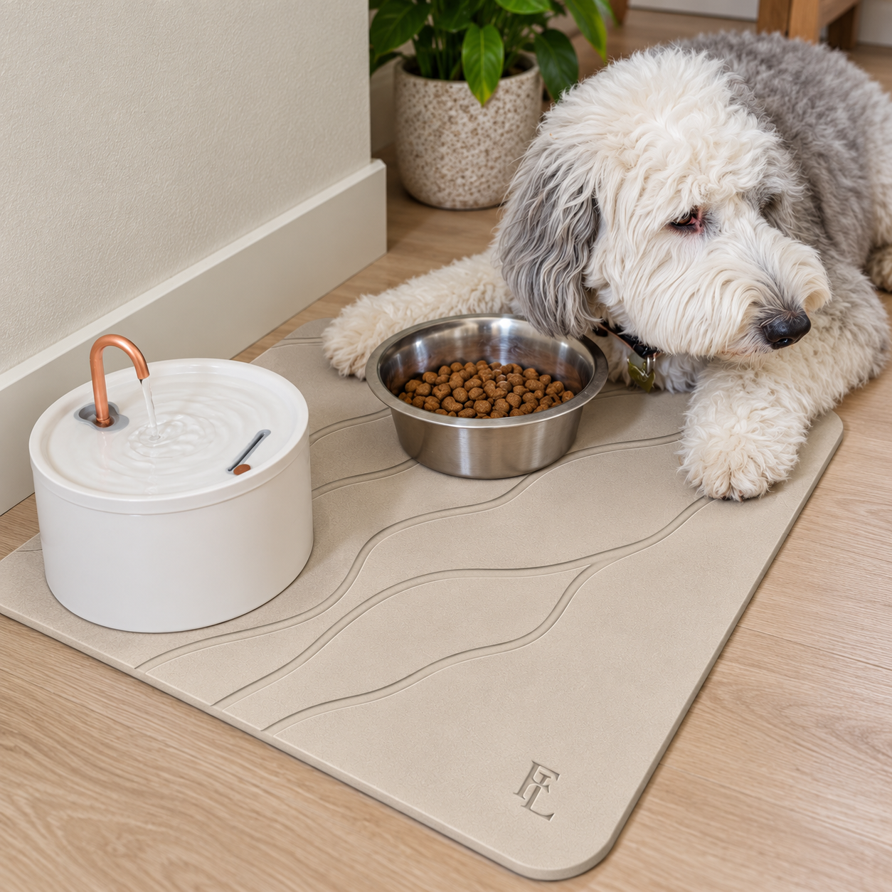 Forever Lifestyle Diatomaceous Earth Stone Bath Mat